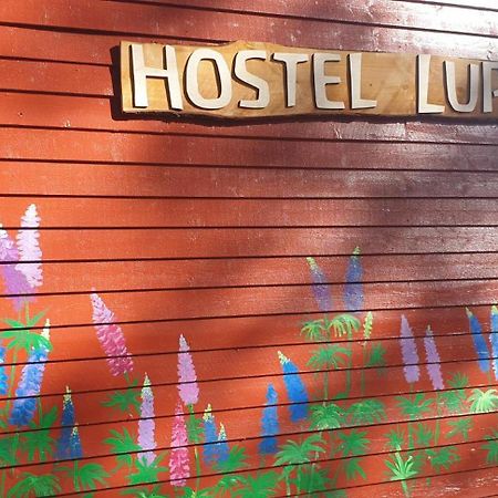 Hostel And Vandrarhem Lupin Naturcamping Lagom Gräsmark Zewnętrze zdjęcie