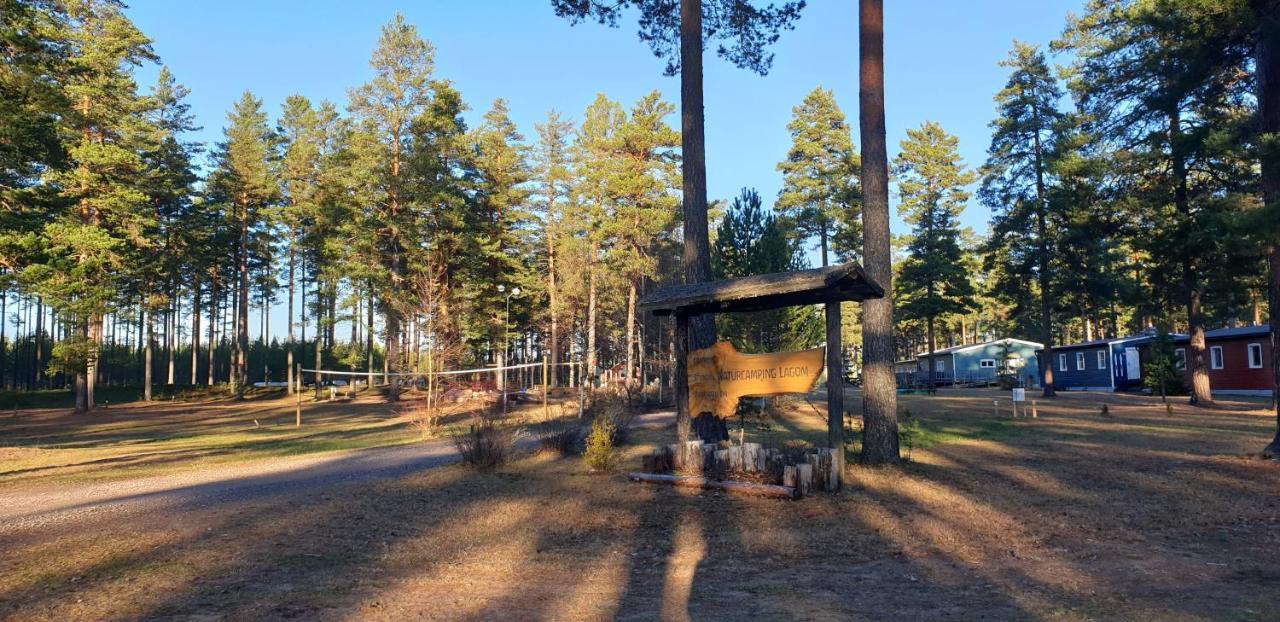 Hostel And Vandrarhem Lupin Naturcamping Lagom Gräsmark Zewnętrze zdjęcie