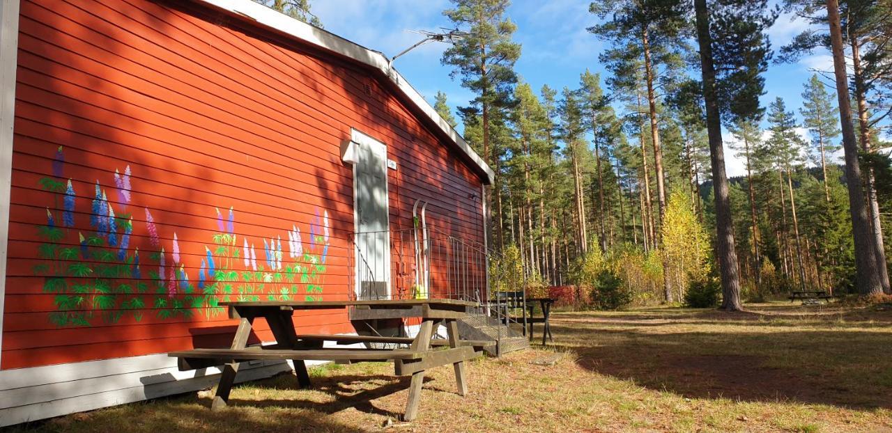 Hostel And Vandrarhem Lupin Naturcamping Lagom Gräsmark Zewnętrze zdjęcie