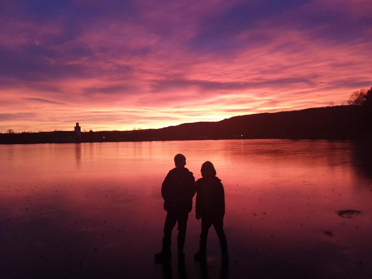 Hostel And Vandrarhem Lupin Naturcamping Lagom Gräsmark Zewnętrze zdjęcie