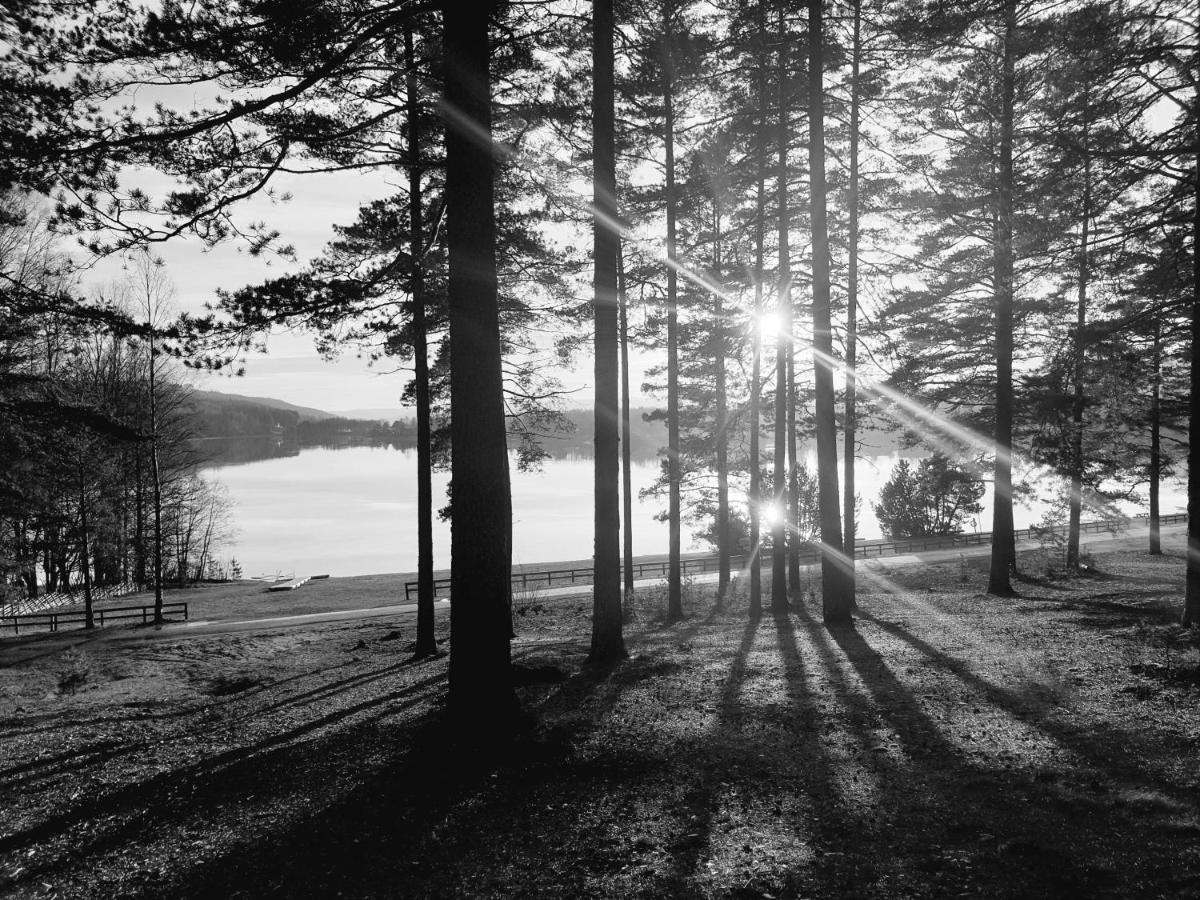 Hostel And Vandrarhem Lupin Naturcamping Lagom Gräsmark Zewnętrze zdjęcie
