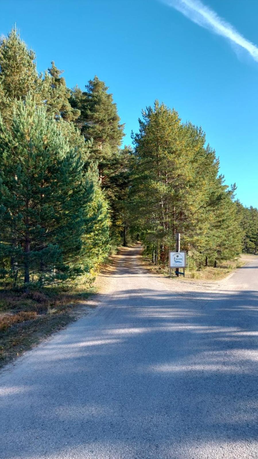 Hostel And Vandrarhem Lupin Naturcamping Lagom Gräsmark Zewnętrze zdjęcie